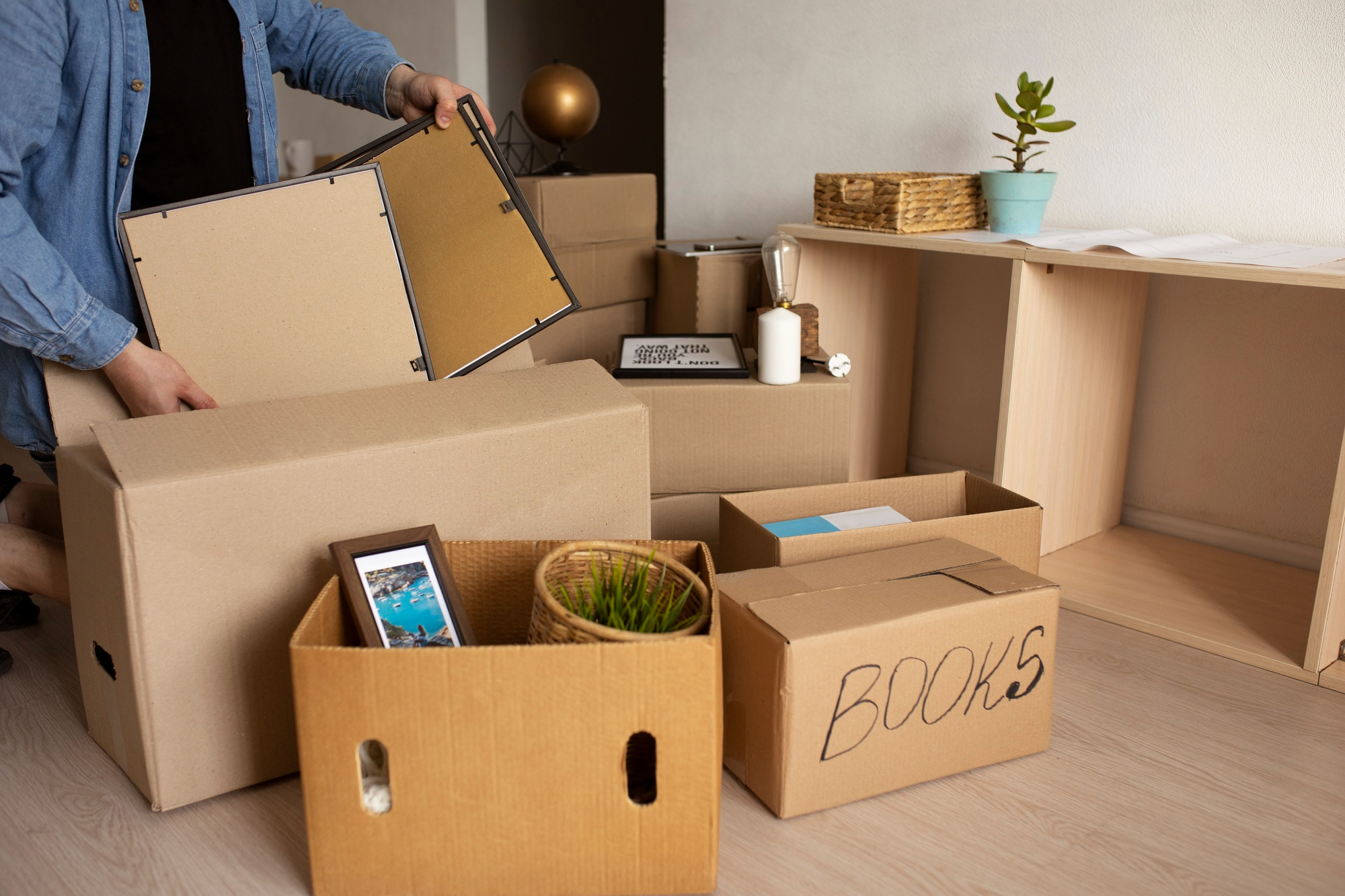 About MZ Movers LLC